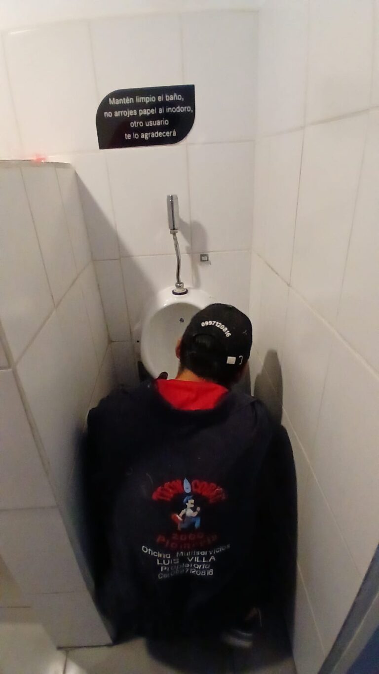 WhatsApp Image 2025-11-08 at 15.31.48